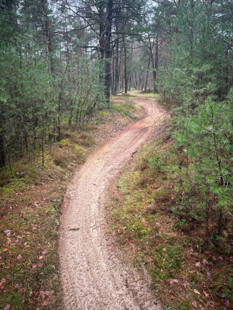 Forstbehörde und Polizei gehen gemeinsam gegen illegale Nutzung der Kaltenkirchener Heide vor